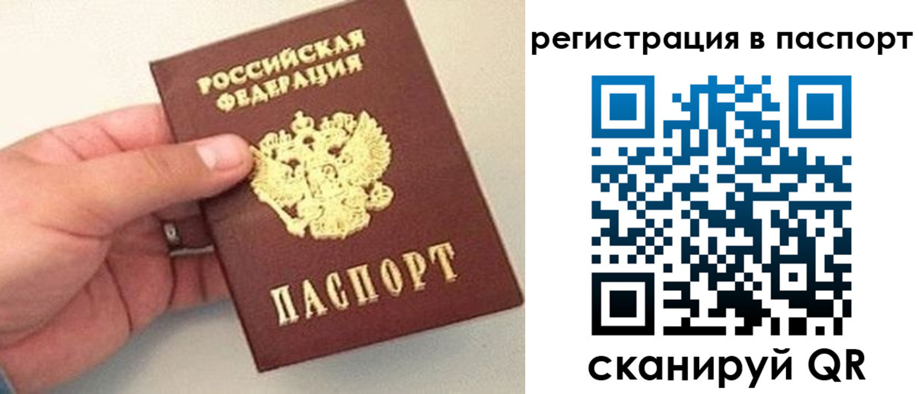 прописка законно в Цимлянске